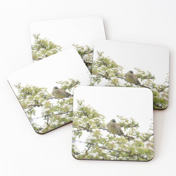 Item preview, Cirl bunting designed and sold by frogs123.
