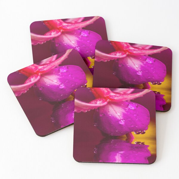 Item preview, Fuscia Reflections. designed and sold by Sandra Cockayne.