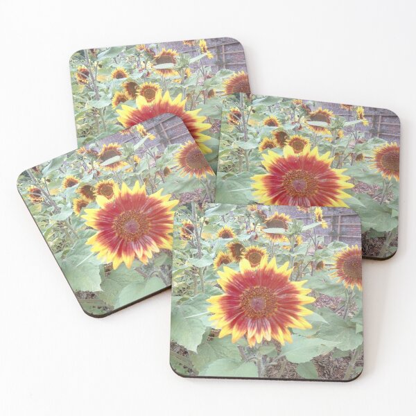Item preview, Here come the suns designed and sold by Kimberlin6.