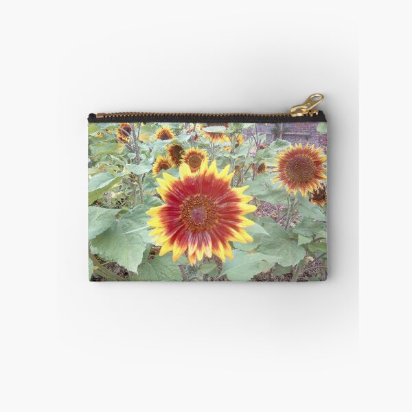 Item preview, Here come the suns designed and sold by Kimberlin6.