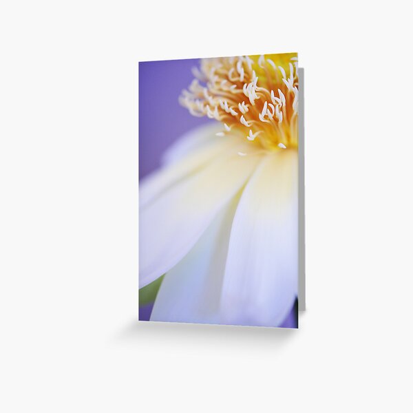 "Lift the Whole World Up" Greeting Card