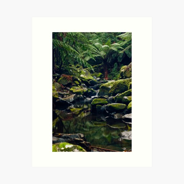 Item preview, Cascades Downstream Erskine Falls designed and sold by Tony Lin.