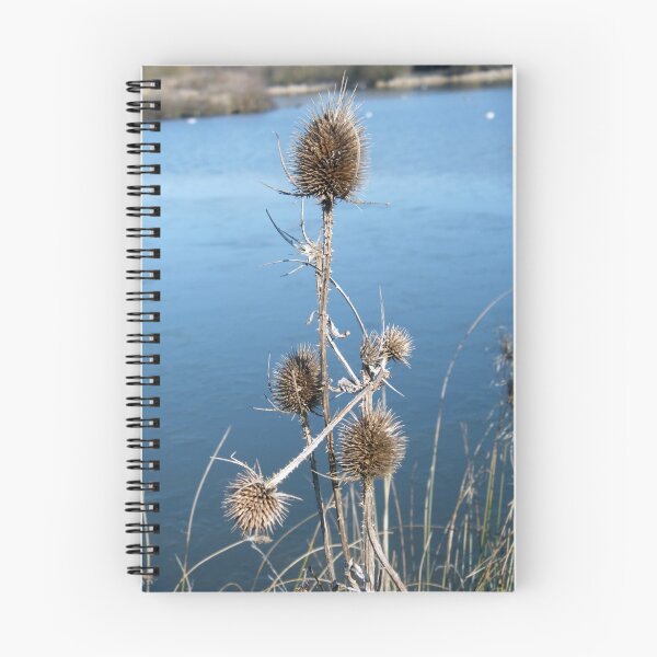 Item preview, Water reeds designed and sold by amylw1.