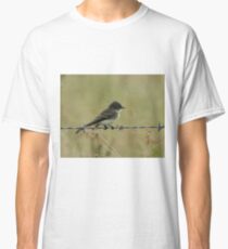 Eastern Phoebe Classic T-Shirt