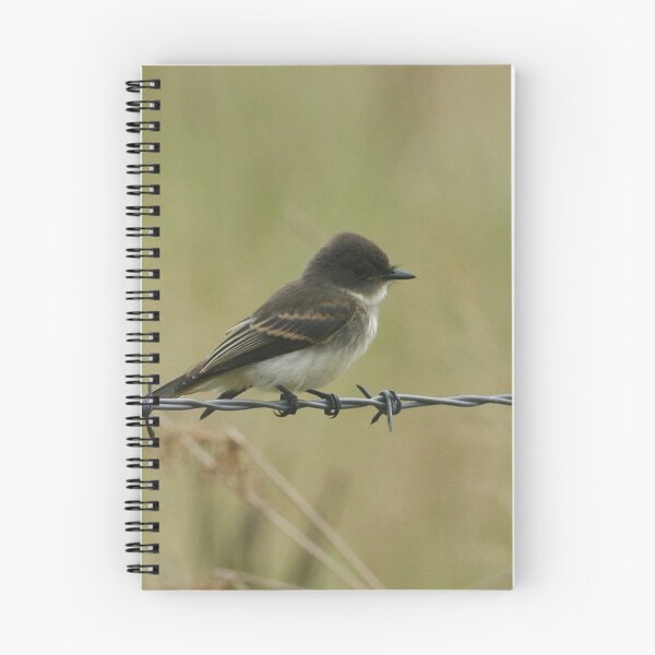 Item preview, Eastern Phoebe designed and sold by Enola Gay Wagner.