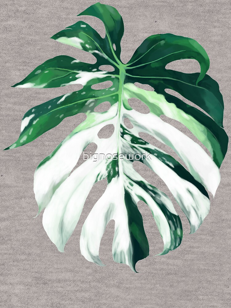 "Monstera Albo Borsigiana in Pink" Lightweight Hoodie by bignosework