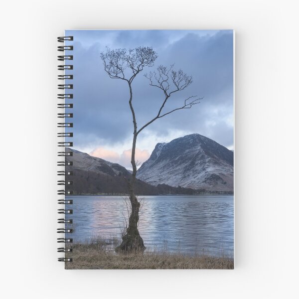 Item preview, Lone Tree Buttermere, Lake District designed and sold by Chris McIlreavy.