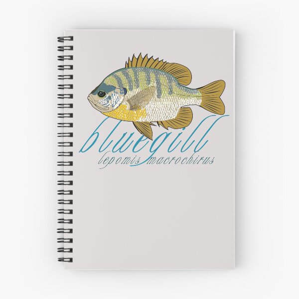 Item preview, Bluegill designed and sold by KZiegman.