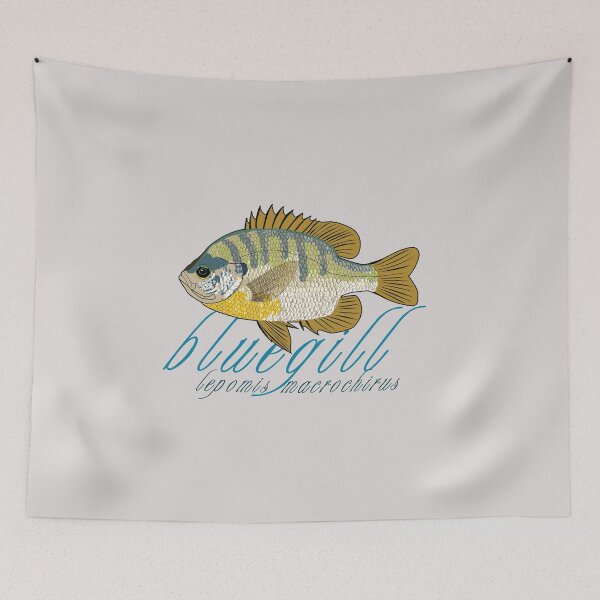 Item preview, Bluegill designed and sold by KZiegman.