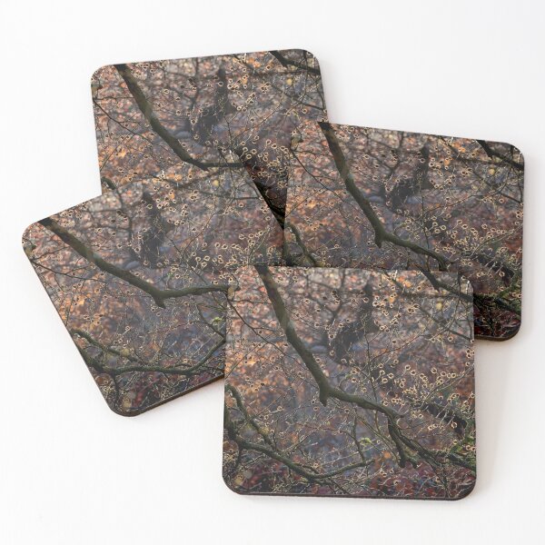 Item preview, Autumn Light  designed and sold by Chris McIlreavy.
