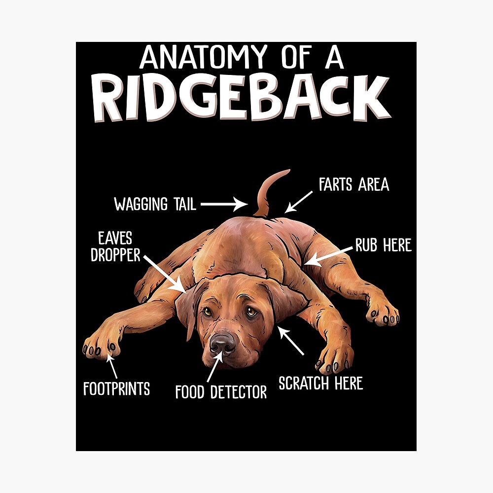 rhodesian ridgeback wall art