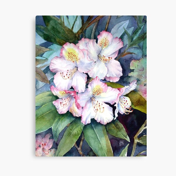 Rhododendrons Canvas Print