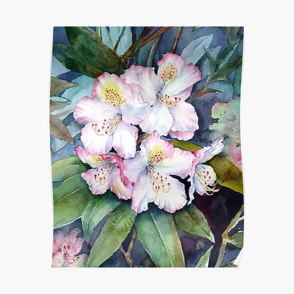 Rhododendrons Poster