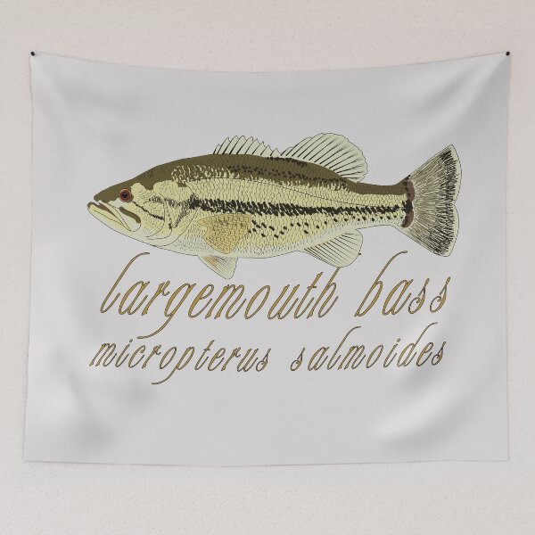 Item preview, Largemouth Bass - micropterus salmoides designed and sold by KZiegman.