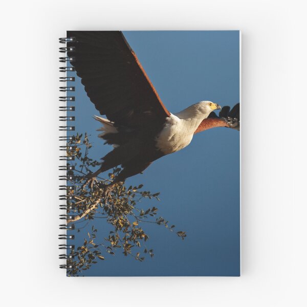 Item preview, Fish Eagle taking flight designed and sold by Johan Swanepoel.
