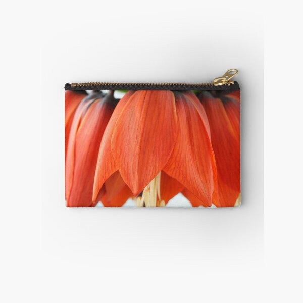Item preview, Fritillaria imperialis  'Rubra'  Crown imperial  Fritillary designed and sold by Chris Burrows.