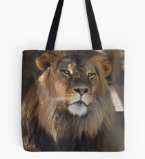Male Lion Tote Bag