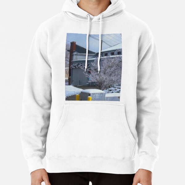 Ear-X-Tacy Old Record Store Pullover Hoodie