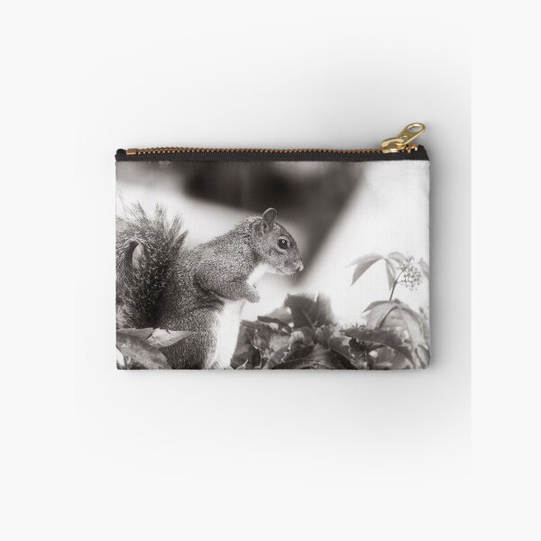Item preview, Grey Squirrel  designed and sold by HoundieLover.
