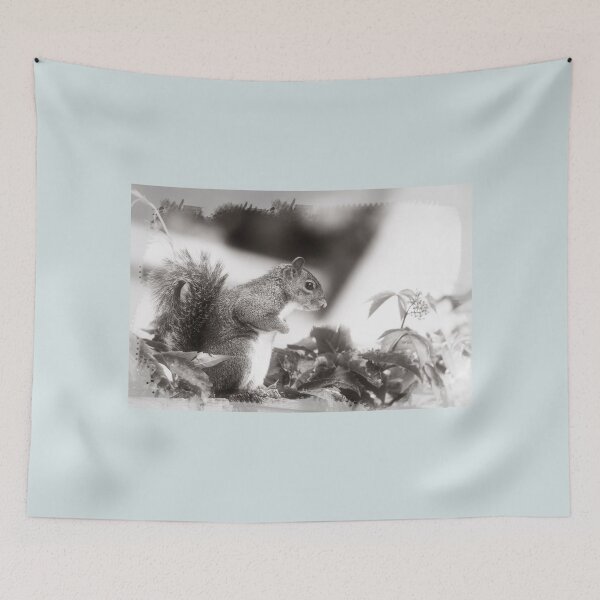 Item preview, Grey Squirrel  designed and sold by HoundieLover.