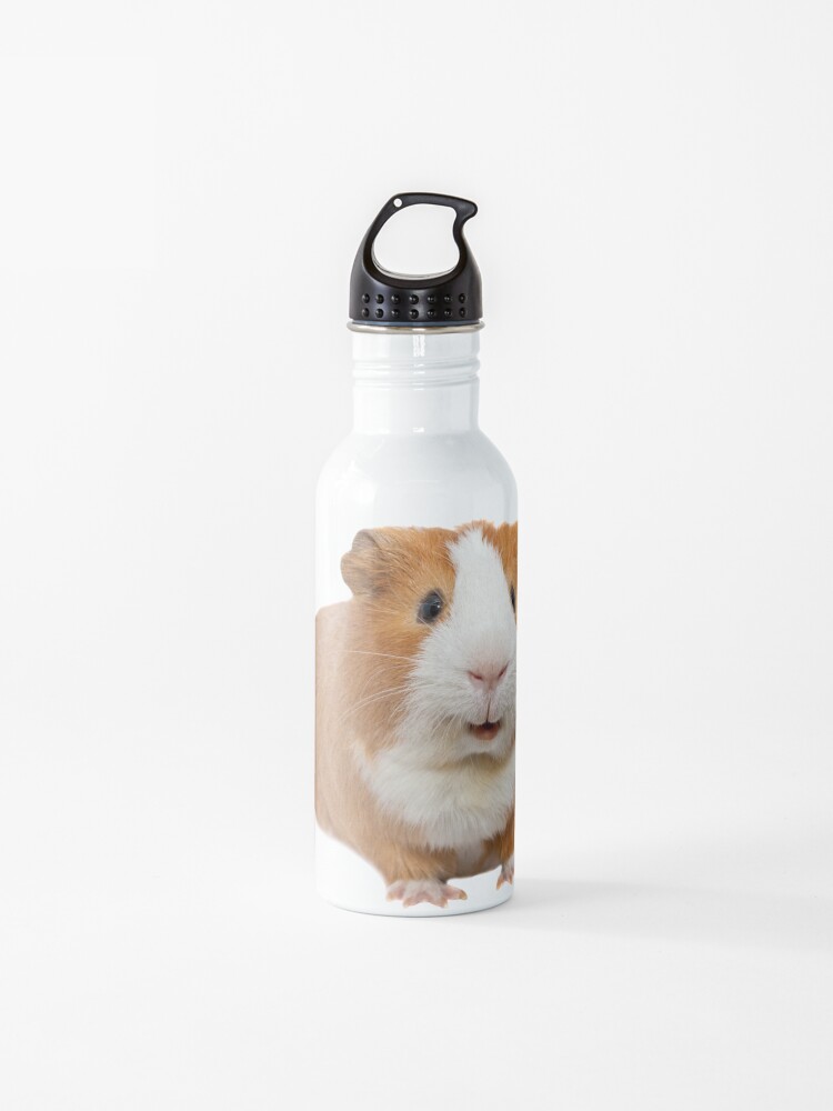 Crazy Guinea Pig Lady Stars Sports Drinks Bottle Camping Flask Funny Animal 