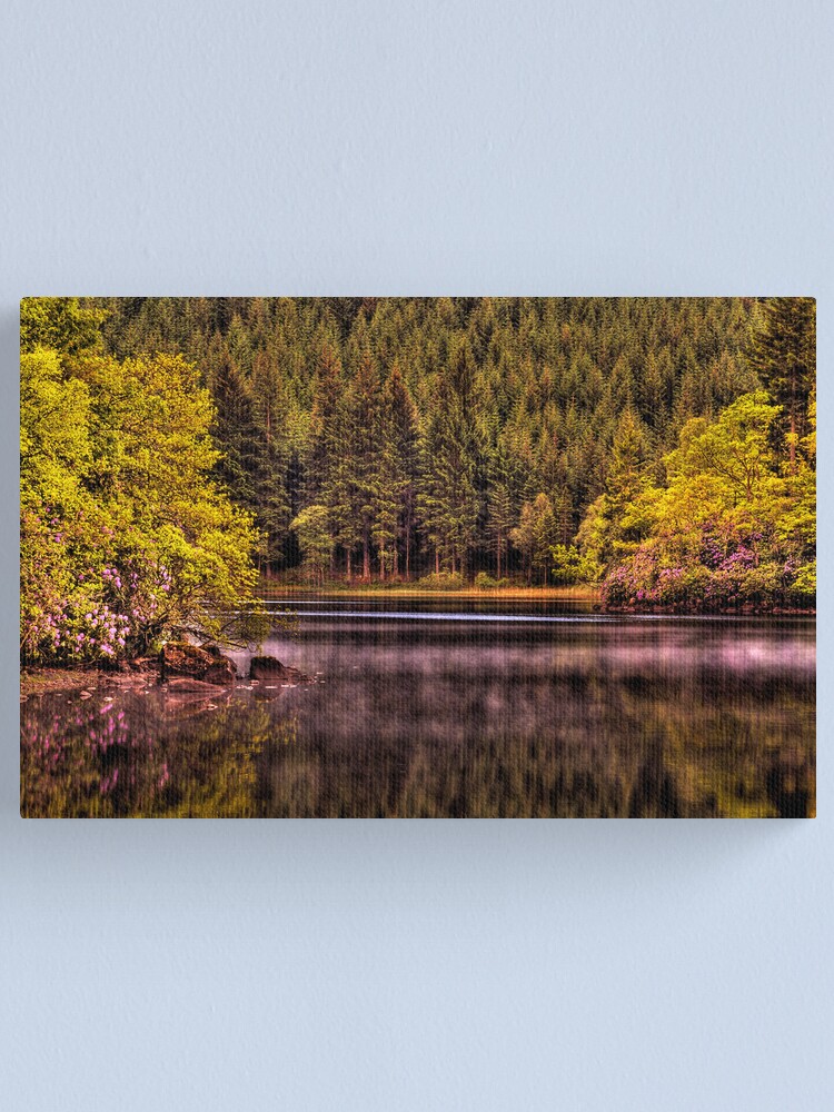 Alternate view of Forty Shades of Green - and a bit of Pink! Canvas Print