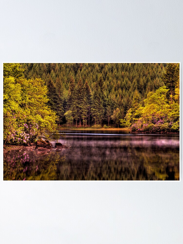 Alternate view of Forty Shades of Green - and a bit of Pink! Poster