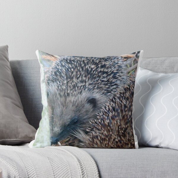 Artikelvorschau, Baby Hedgehog entworfen und verkauft von amylw1.