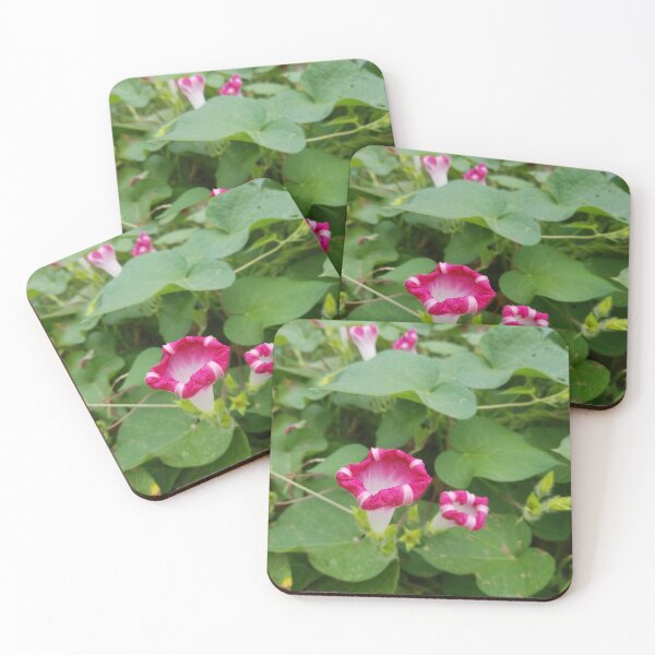 Item preview, Good morning glory!  designed and sold by Sarah Conrad.
