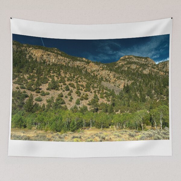 Item preview, Beautiful Rocky Mountain Picnic Spot and Landscape designed and sold by Bo Insogna.