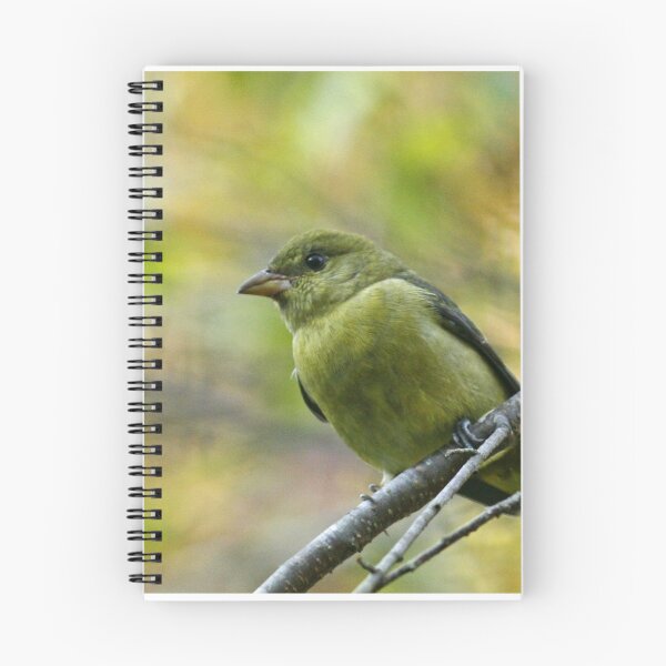 Item preview, Scarlet Tanager designed and sold by Enola Gay Wagner.
