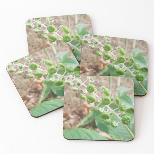 Item preview, All around the Pokeberry plant designed and sold by Sarah Conrad.
