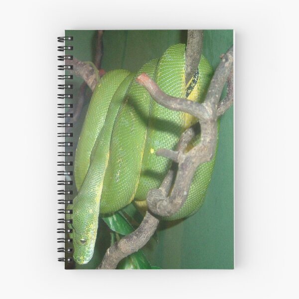 Item preview, Snake in a tree designed and sold by amylw1.
