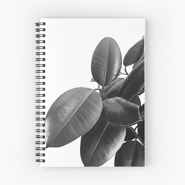 Item preview, Ficus Elastica #23 #BlackAndWhite #foliage #decor #art designed and sold by Anita's & Bella's Art.