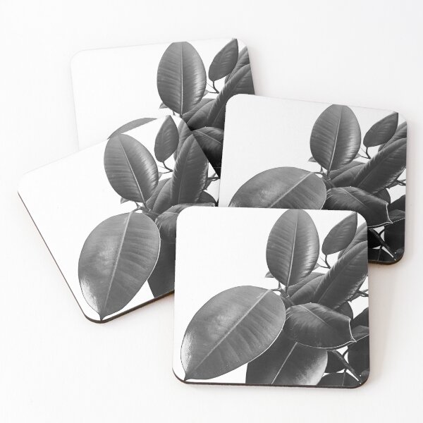 Item preview, Ficus Elastica #23 #BlackAndWhite #foliage #decor #art designed and sold by Anita's & Bella's Art.