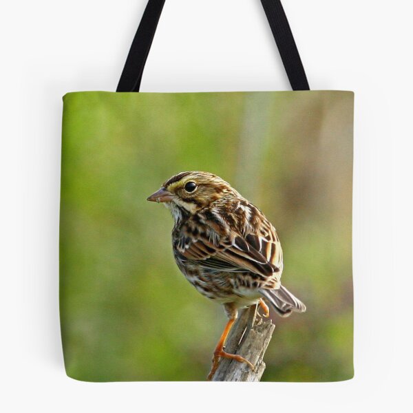 Item preview, Savannah Sparrow designed and sold by Enola Gay Wagner.