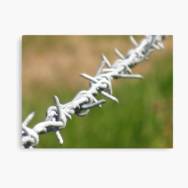 Item preview, Barbed #2 designed and sold by CynLynn.