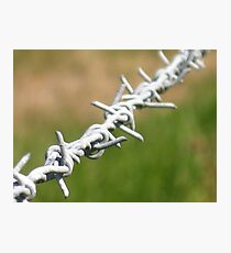 Barbed #2 Photographic Print