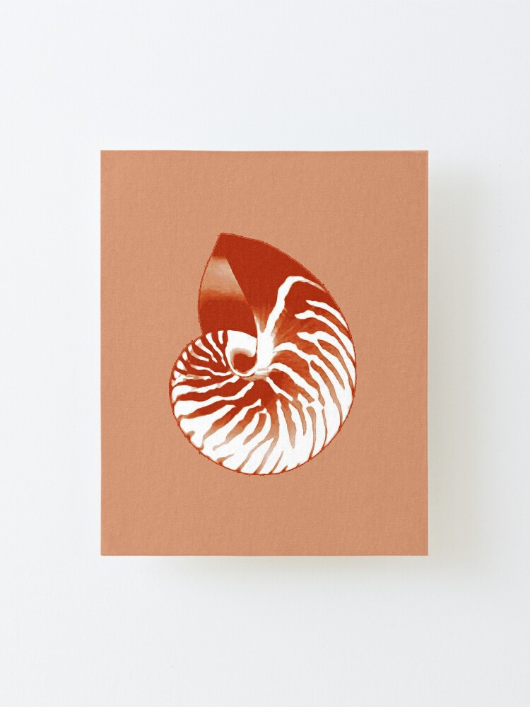 Nautilus Shell Terracotta And White Mounted Print By Marymarice Redbubble