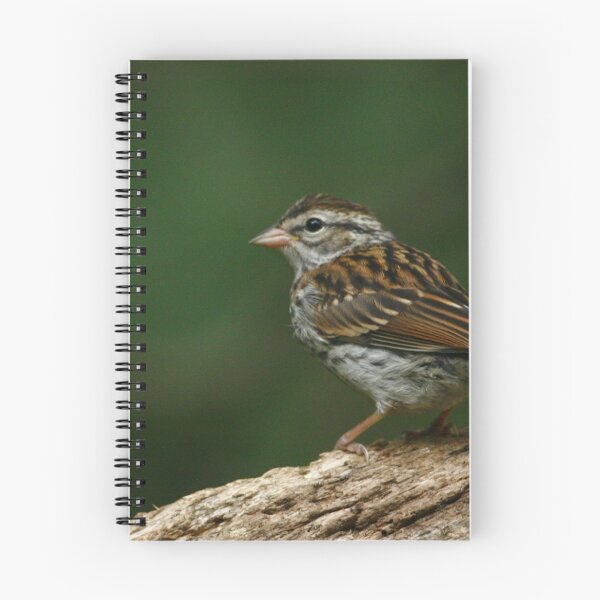Item preview, Sparrow designed and sold by Enola Gay Wagner.