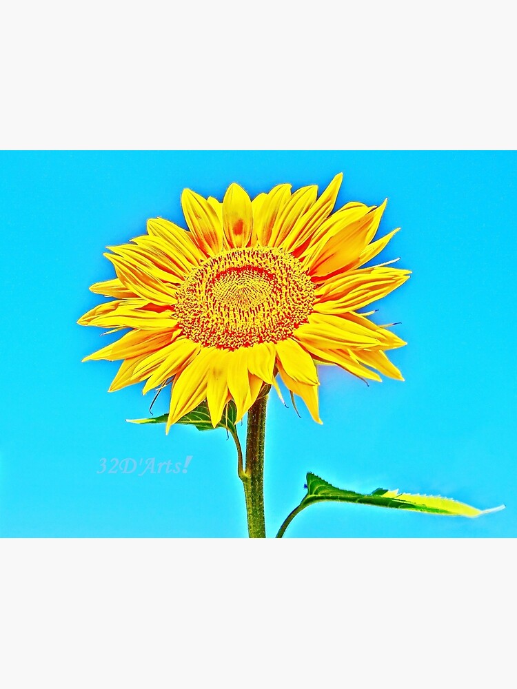 Sunny Sunflower by 32DARTS