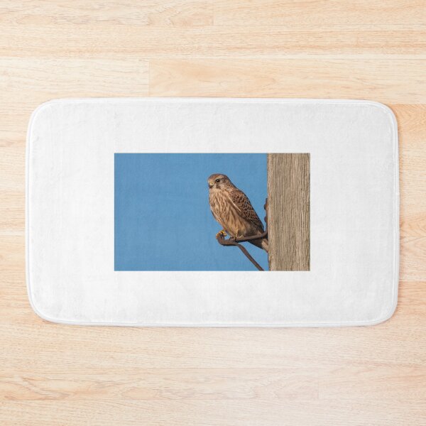 Item preview, Kestrel designed and sold by HoundieLover.