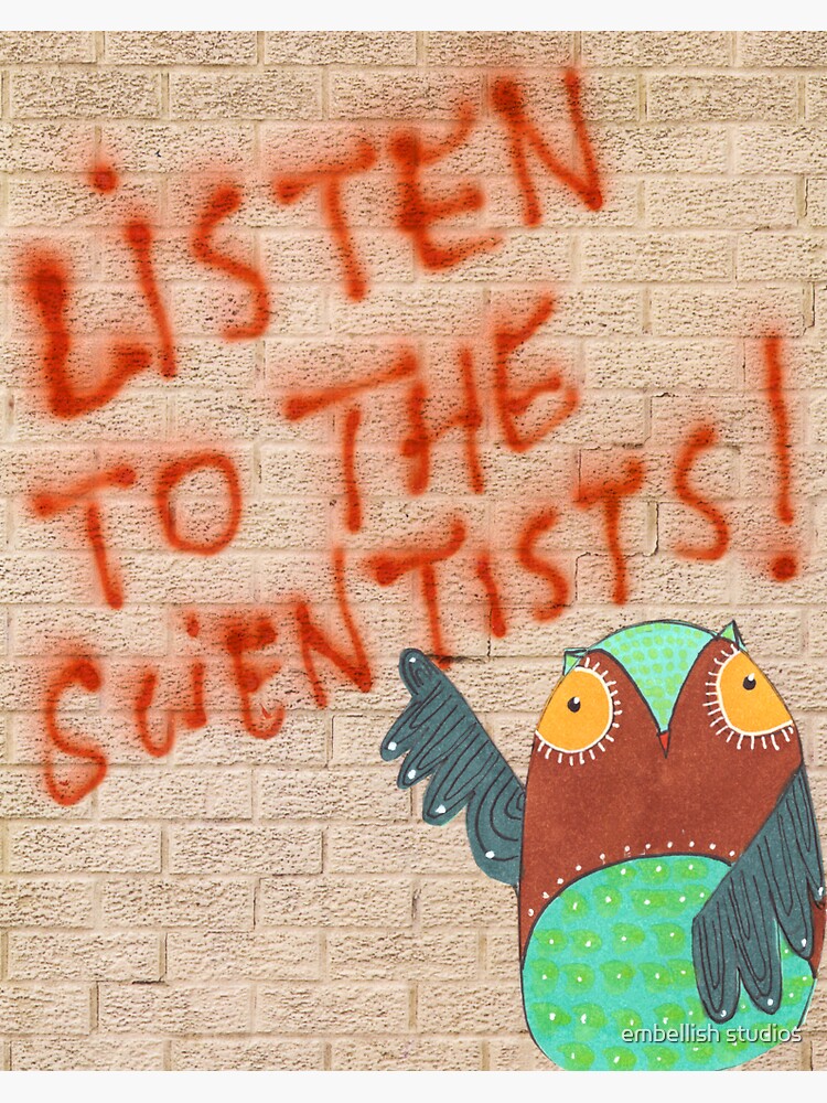 Listening Owl by tammymurdock