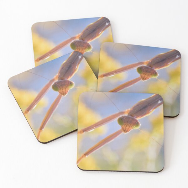 Item preview, Finales del verano Glow- Mantis religiosa designed and sold by dlamb.