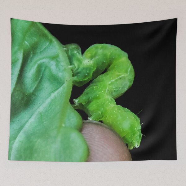Item preview, ♫ Inch Worm ♫ designed and sold by heatherfriedman.