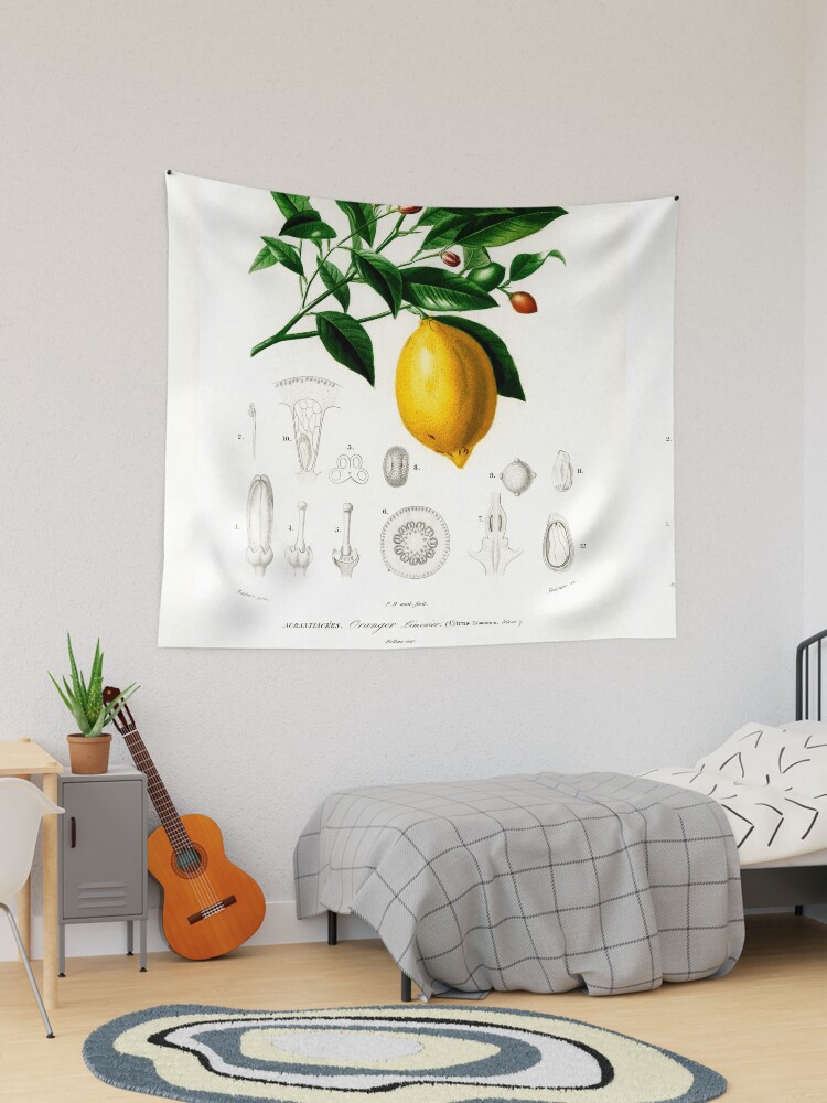 Citrus tapestry best sale