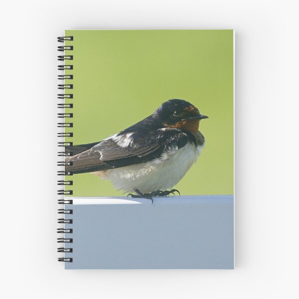 Item preview, Barn Swallow designed and sold by Enola Gay Wagner.