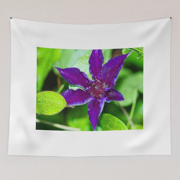 Item preview, Second Wind designed and sold by Brenda Burnett.