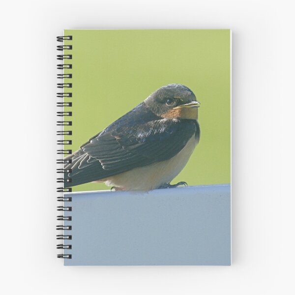 Item preview, Barn Swallow designed and sold by Enola Gay Wagner.