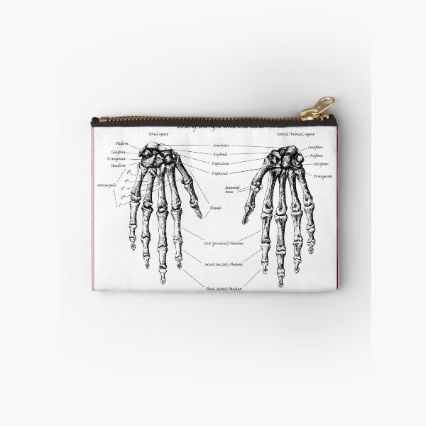 Item preview, The bones of the human right wrist and hand. designed and sold by Squirrox.